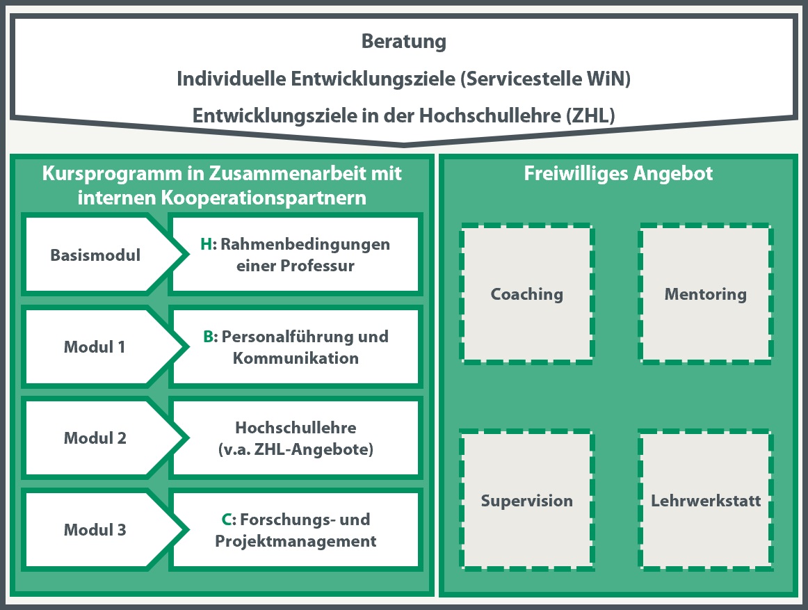 Begleitung des Karriereweges von W1 nach W3 (Tenure Track) mit der Erlangung des Bayreuth-WiN-Zertifikates und der Struktur des Weiterbildungsprogrammes..
